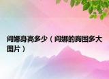 閻娜身高多少（閻娜的胸圍多大圖片）