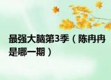 最強(qiáng)大腦第3季（陳冉冉是哪一期）