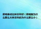 蔡明身材比林志玲好（蔡明胸為什么那么大林志玲的為什么那么?。? /></span></a>
                        <h2><a href=