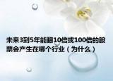 未來3到5年能翻10倍或100倍的股票會產(chǎn)生在哪個行業(yè)（為什么）