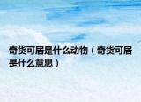 奇貨可居是什么動物（奇貨可居是什么意思）