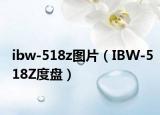 ibw-518z圖片（IBW-518Z度盤）