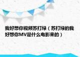 我好想你視頻蘇打綠（蘇打綠的我好想你MV是什么電影來的）