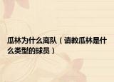 瓜林為什么離隊（請教瓜林是什么類型的球員）