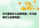 華為音響怎么連接電腦（華為音響怎么連接電腦）