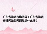 廣東省清遠(yuǎn)市佛岡縣（廣東省清遠(yuǎn)市佛岡政務(wù)網(wǎng)網(wǎng)址是什么呀）