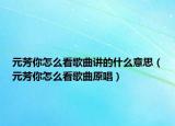 元芳你怎么看歌曲講的什么意思（元芳你怎么看歌曲原唱）