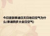 今日更新泰迪日天日地日空氣為什么(泰迪狗多大會(huì)日空氣)
