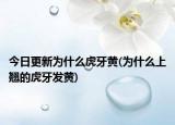 今日更新為什么虎牙黃(為什么上翹的虎牙發(fā)黃)