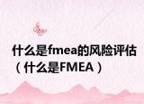 什么是fmea的風(fēng)險評估（什么是FMEA）