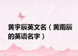 黃宇辰英文名（黃雨辰的英語名字）