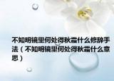 不知明鏡里何處得秋霜什么修辭手法（不知明鏡里何處得秋霜什么意思）