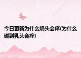 今日更新為什么奶頭會(huì)癢(為什么碰到乳頭會(huì)癢)