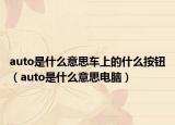 auto是什么意思車上的什么按鈕（auto是什么意思電腦）