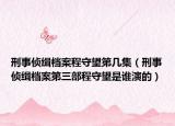 刑事偵緝檔案程守望第幾集（刑事偵緝檔案第三部程守望是誰演的）