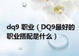 dq9 職業(yè)（DQ9最好的職業(yè)搭配是什么）