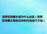 普羅旺斯薰衣草為什么出名（普羅旺斯薰衣草的花語和傳說簡介介紹）