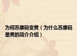為何蘇康碼變黃（為什么蘇康碼是黃的簡介介紹）