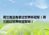 荷蘭有沒有拿過世界杯冠軍（荷蘭的過世界杯冠軍嗎）