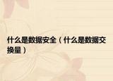 什么是數(shù)據(jù)安全（什么是數(shù)據(jù)交換量）