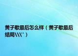 黃子歇最后怎么樣（黃子歇最后結(jié)局\