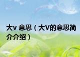 大v 意思（大V的意思簡(jiǎn)介介紹）