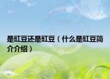 是豇豆還是豇豆（什么是豇豆簡介介紹）