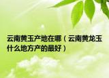 云南黃玉產(chǎn)地在哪（云南黃龍玉什么地方產(chǎn)的最好）