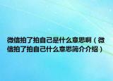 微信拍了拍自己是什么意思?。ㄎ⑿排牧伺淖约菏裁匆馑己喗榻榻B）