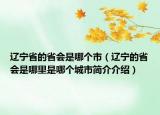 遼寧省的省會是哪個市（遼寧的省會是哪里是哪個城市簡介介紹）