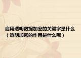 啟用透明數(shù)據(jù)加密的關(guān)鍵字是什么（透明加密的作用是什么呢）