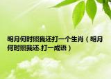 明月何時照我還打一個生肖（明月何時照我還.打一成語）