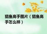 獵魚高手圖片（獵魚高手怎么樣）