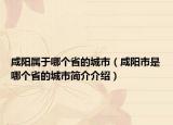 咸陽(yáng)屬于哪個(gè)省的城市（咸陽(yáng)市是哪個(gè)省的城市簡(jiǎn)介介紹）
