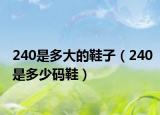 240是多大的鞋子（240是多少碼鞋）