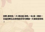 田野,柔軟的,一片,路邊的,綠毯,一塊,像（路的一邊是田野叢叢綠綠的非?？蓯巯褚黄彳浀木G毯）