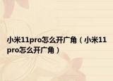 小米11pro怎么開(kāi)廣角（小米11pro怎么開(kāi)廣角）