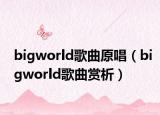 bigworld歌曲原唱（bigworld歌曲賞析）