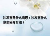 沙發(fā)客是什么意思（沙發(fā)客什么意思簡(jiǎn)介介紹）