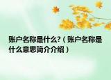 賬戶名稱是什么?（賬戶名稱是什么意思簡介介紹）