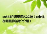 snh48在哪里報(bào)名2020（snh48在哪里報(bào)名簡(jiǎn)介介紹）