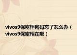vivos9保密柜密碼忘了怎么辦（vivos9保密柜在哪）