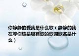 你靜靜的愛我是什么歌（靜靜的我在等你這是哪首歌的歌詞歌名是什么）