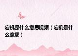 宕機是什么意思視頻（宕機是什么意思）