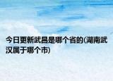 今日更新武昌是哪個(gè)省的(湖南武漢屬于哪個(gè)市)