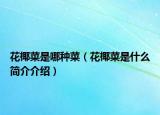 花椰菜是哪種菜（花椰菜是什么簡(jiǎn)介介紹）