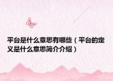 平臺(tái)是什么意思有哪些（平臺(tái)的定義是什么意思簡(jiǎn)介介紹）