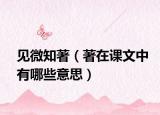 見微知著（著在課文中有哪些意思）