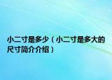 小二寸是多少（小二寸是多大的尺寸簡介介紹）