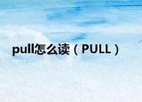 pull怎么讀（PULL）